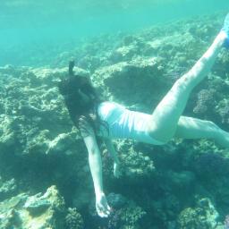 <span> Snorkeling Adventure </span>Crystal-Clear Waters & Coral Reefs