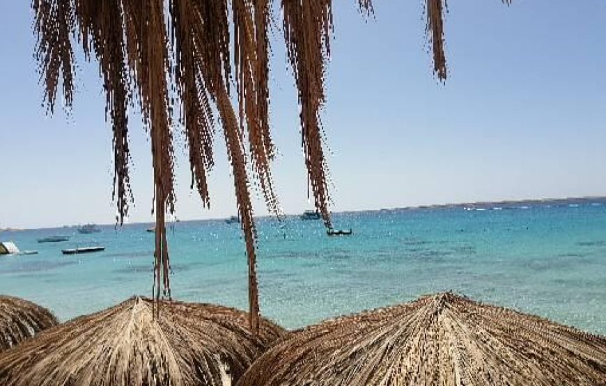 Mahmya Island Trip from Hurghada