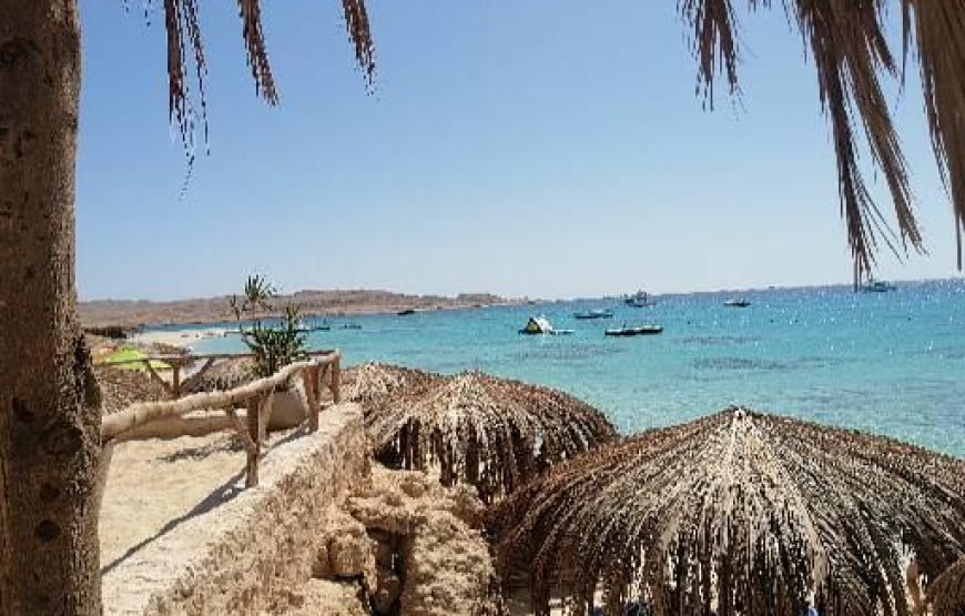 Mahmya Island Trip from Hurghada