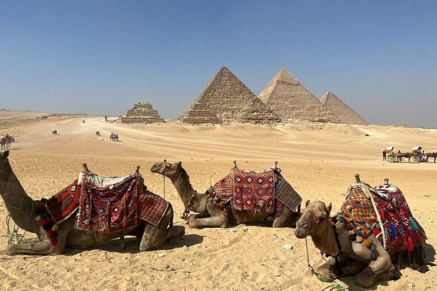 Private Cairo day tour