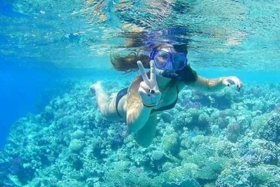 Orange Bay Island with lunch