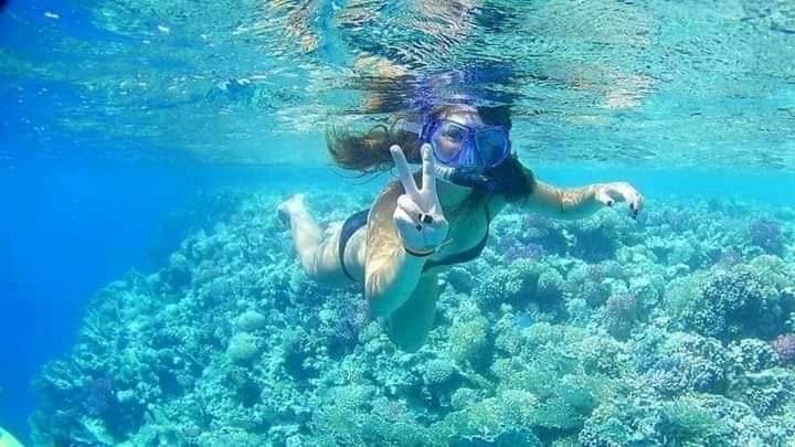 <span> Snorkeling Adventure</span>  Explore the Vibrant Marine Life