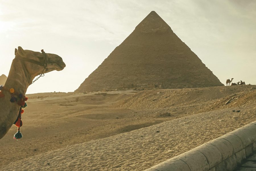 Day tour from Hurghada to Cairo by airplane